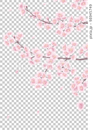 手繪櫻花_留言卡背景圖 98945749