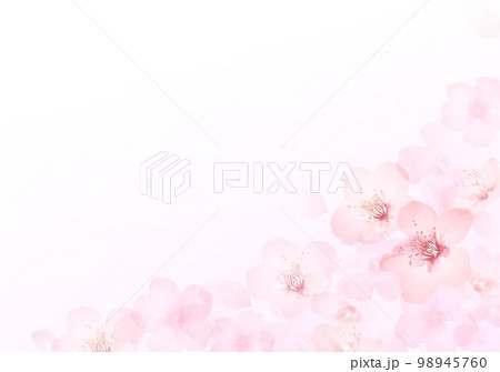 桜の淡い春色の背景 98945760