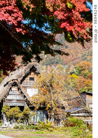【白川郷】見頃の紅葉と合掌造りの村歩き 【白川郷】見頃の紅葉と合掌造りの村歩き 98946248