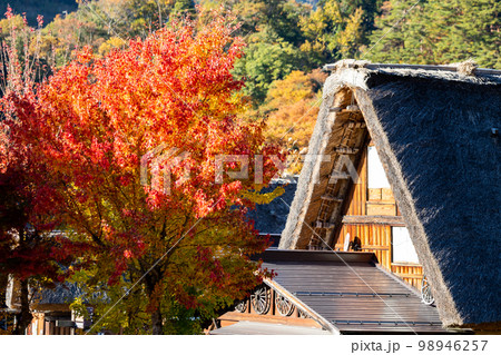 【白川郷】見頃の紅葉と合掌造りの村歩き 【白川郷】見頃の紅葉と合掌造りの村歩き 98946257