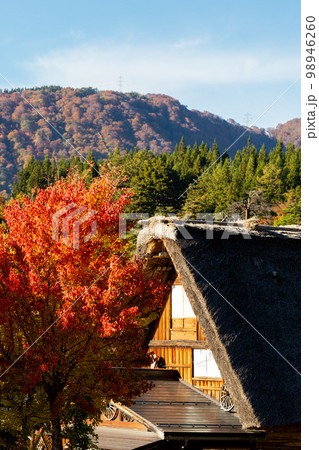 【白川郷】見頃の紅葉と合掌造りの村歩き 【白川郷】見頃の紅葉と合掌造りの村歩き 98946260