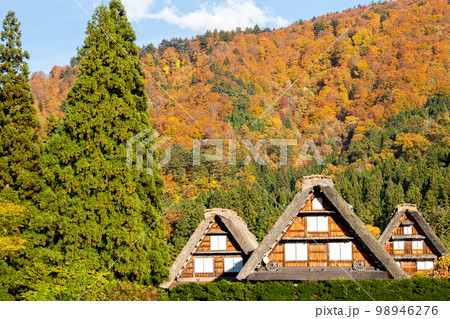 【白川郷】見頃の紅葉と三つ子の合掌造り 【白川郷】見頃の紅葉と三つ子の合掌造り 98946276