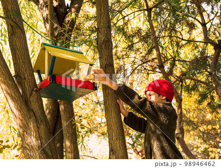 Boy puts feed for birds into self-made birdfeeder hanging at backyard Boy puts feed for birds into self-made birdfeeder hanging at backyard 98946462