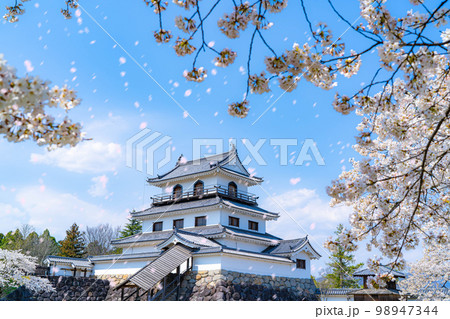 【桜吹雪素材】春の白石城と桜吹雪【宮城県】 98947344