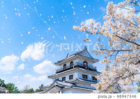 【桜吹雪素材】春の白石城と桜吹雪【宮城県】 98947346