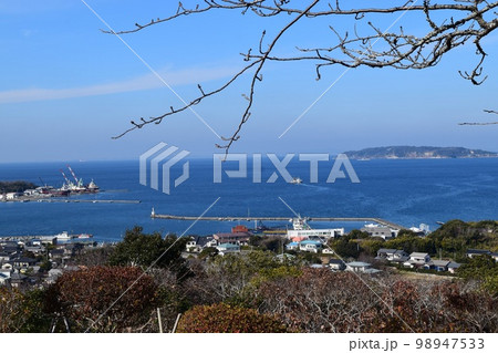 城山公園から望む東京湾の風景 城山公園から望む東京湾の風景 98947533