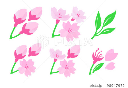 桜の開花予想のイラストセット 98947972