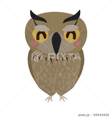 笑顔のかわいいフクロウのイラスト 98948986