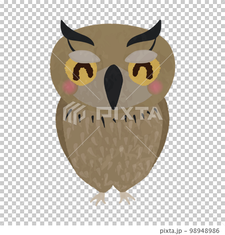 笑顔のかわいいフクロウのイラスト 98948986