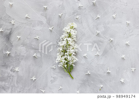 Fresh white lilac blossom flowers on abstract gray background. Spring concept. Minimalist floral flat lay, top view, copy space 98949174