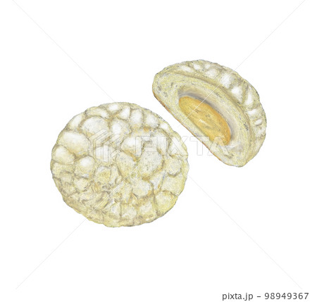 チョークアートで描いたメロンパン 98949367