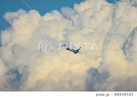 積乱雲付近を飛んでいる旅客機 98949585