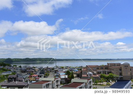 北海道　東部　初夏の厚岸町 98949593