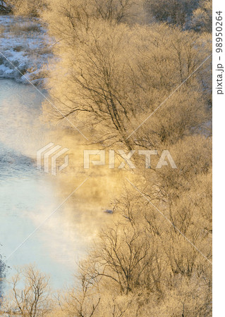 展望台からの霧氷の木々と音羽橋 鶴居村 北海道道東観光 展望台からの霧氷の木々と音羽橋 鶴居村 北海道道東観光 98950264