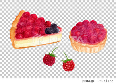 Hand drawn watercolor raspberry tart cross section and small tarts 98951472