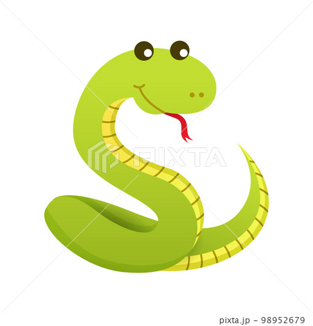 Snake . Cute isolated cartoon vector . Snake . Cute isolated cartoon vector . 98952679