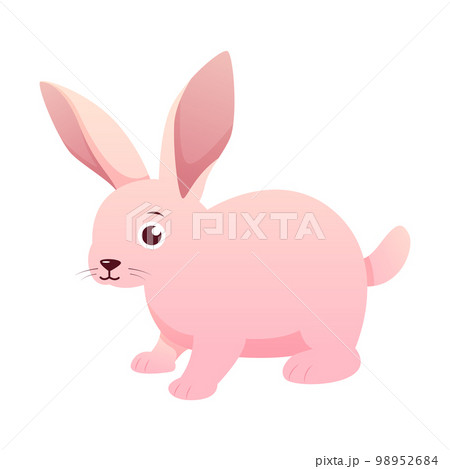 Rabbit . Cute isolated cartoon vector . 98952684