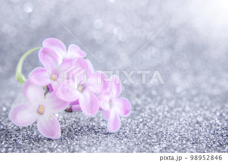Lilac flowers close-up, on a blurry background of a lilac bush. Concept greeting card, background for spa salon. Selective focus. Copy space 98952846