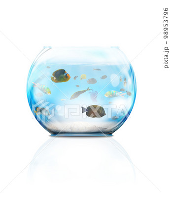 Glass aquarium 98953796