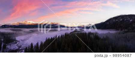 Green Trees in Forest with Fog and Mountains. Sunrise. Canadian Nature Landscape Background. 98954087