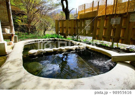 大自然に囲まれた野趣溢れる出で湯…塩原温泉・もみじの湯 大自然に囲まれた野趣溢れる出で湯…塩原温泉・もみじの湯 98955616