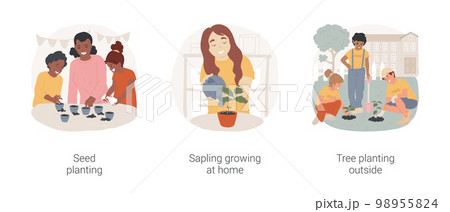 Tree planting isolated cartoon vector illustration set. Child puts seed in the ground, sapling growing at home, eco activity with kids, tree planting outside, community gardening vector cartoon. Tree planting isolated cartoon vector illustration set. Child puts seed in the ground, sapling growing at home, eco activity with kids, tree planting outside, community gardening vector cartoon. 98955824