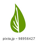 Green natural leaf drawing, vector 98956427