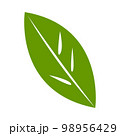 Green natural leaf drawing, vector 98956429