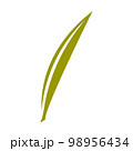 Green natural leaf drawing, vector 98956434