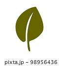 Green natural leaf drawing, vector 98956436
