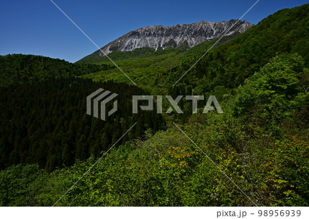 鍵掛峠からの大山 98956939