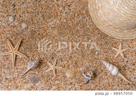 Sand shells background. Summer time concept with sea shells and starfish on the sand 98957050