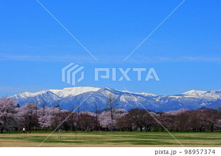 みやぎ蔵王三十六景　みちのく杜の湖畔公園　湖畔のひろばから望む冠雪の蔵王連峰 98957374