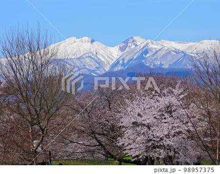 みやぎ蔵王三十六景　みちのく杜の湖畔公園　湖畔のひろばから望む冠雪の蔵王連峰 98957375