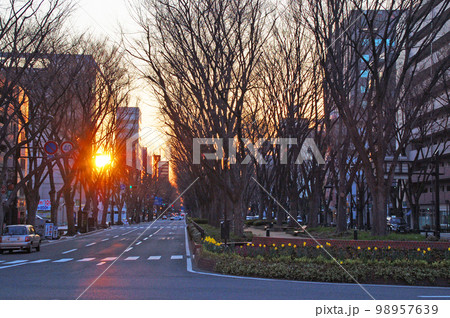 杜の都仙台 定禅寺通り 落葉した欅並木 日の出の陽光を反射するビルの窓 杜の都仙台 定禅寺通り 落葉した欅並木 日の出の陽光を反射するビルの窓 98957639