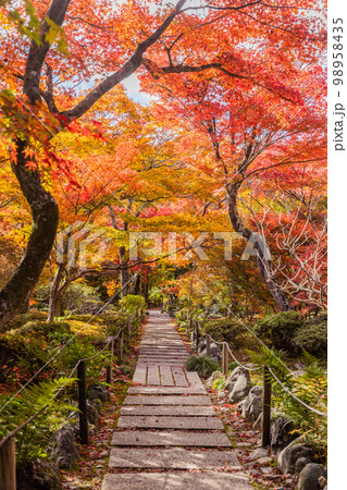 京都嵯峨野 宝筐院の紅葉 京都嵯峨野 宝筐院の紅葉 98958435