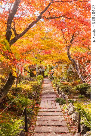 付下げ 寺院 風景 萩 紅葉 亀甲 ピンクベージュ 石竹色 正絹A413 渉渓園（しょうけいえん）の紅葉🍁 上賀茂神社の敷地内、賀茂