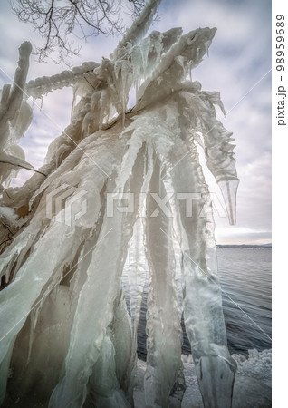 福島県 真冬の猪苗代湖のしぶき氷 福島県 真冬の猪苗代湖のしぶき氷 98959689