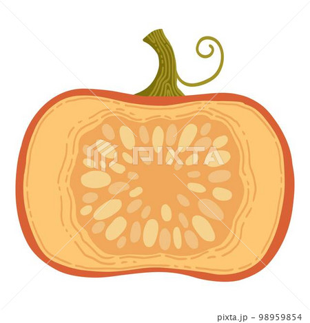 Colored pumpkin hand drawn vector graphic illustration. Colorful drawing autumn vegetable whole, slice and halves isolated on white background. Seasonal fresh plant bundle Colored pumpkin hand drawn vector graphic illustration. Colorful drawing autumn vegetable whole, slice and halves isolated on white background. Seasonal fresh plant bundle 98959854