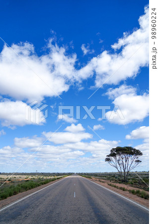 青空と一本の木とまっすぐの道 98960224