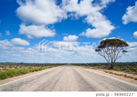 西オーストラリアの地平線まで続く直線道路 98960227