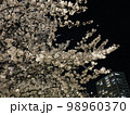 夜桜 98960370