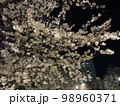 夜桜 98960371