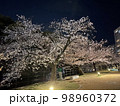 夜桜 98960372