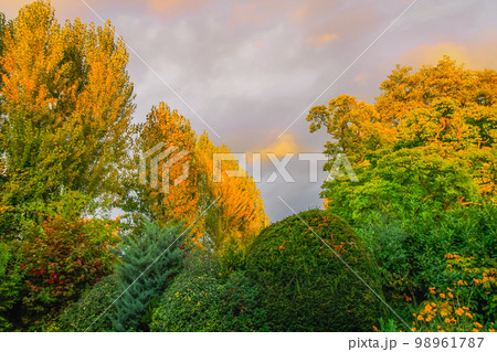 Autumn foliage colors in Loire valley public park with garden, France 98961787