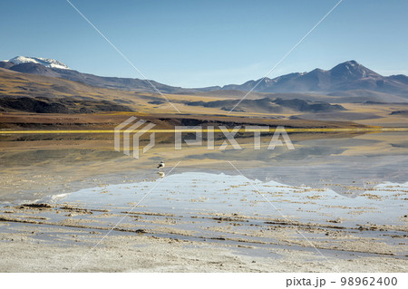 Salt lake, volcanic landscape at sunrise, Atacama, Chile border with Bolivia 98962400