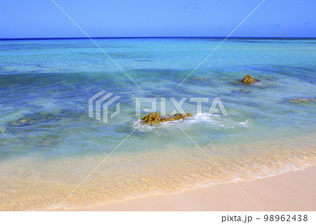 Secluded turquoise beach in Aruba, Caribbean Blue sea, Duth Antilles 98962438
