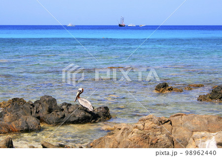 Secluded turquoise beach in Aruba, Caribbean Blue sea, Duth Antilles 98962440