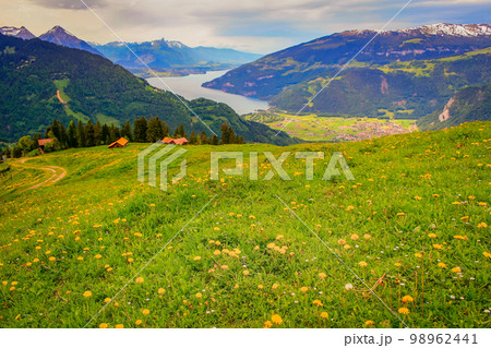 Interlaken an Thun Lake from above Schynige Platte, Swiss alps, Bernese oberland 98962441