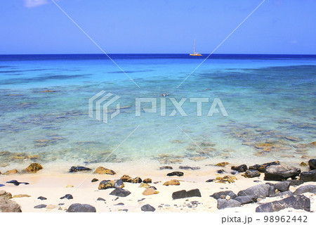 Secluded turquoise beach in Aruba, Caribbean Blue sea, Duth Antilles 98962442